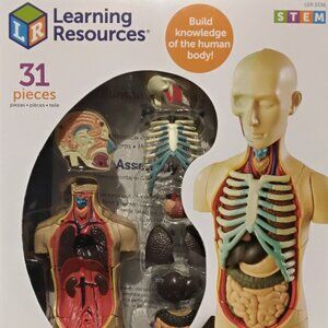 Human Body Torso  Anatomy 3D puzzle